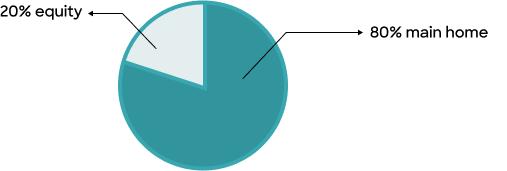 Pie chart borrowing 80% and keeping 20% equity