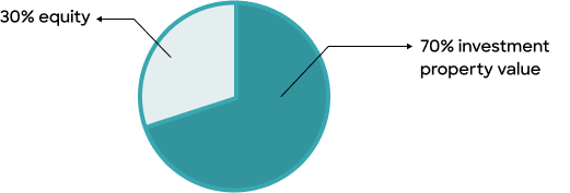 Pie chart borrowing 80% and keeping 20% equity